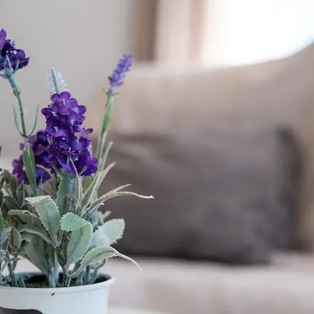 Apartment Calas B Y D Torrevieja