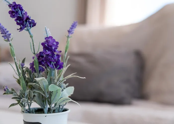 Apartment Calas B Y D Torrevieja