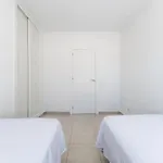 Calas B Y D Торевьиа